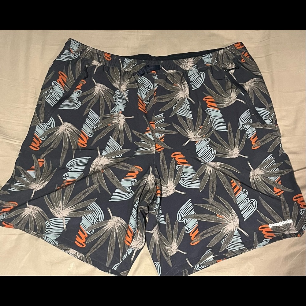 Patagonia shorts